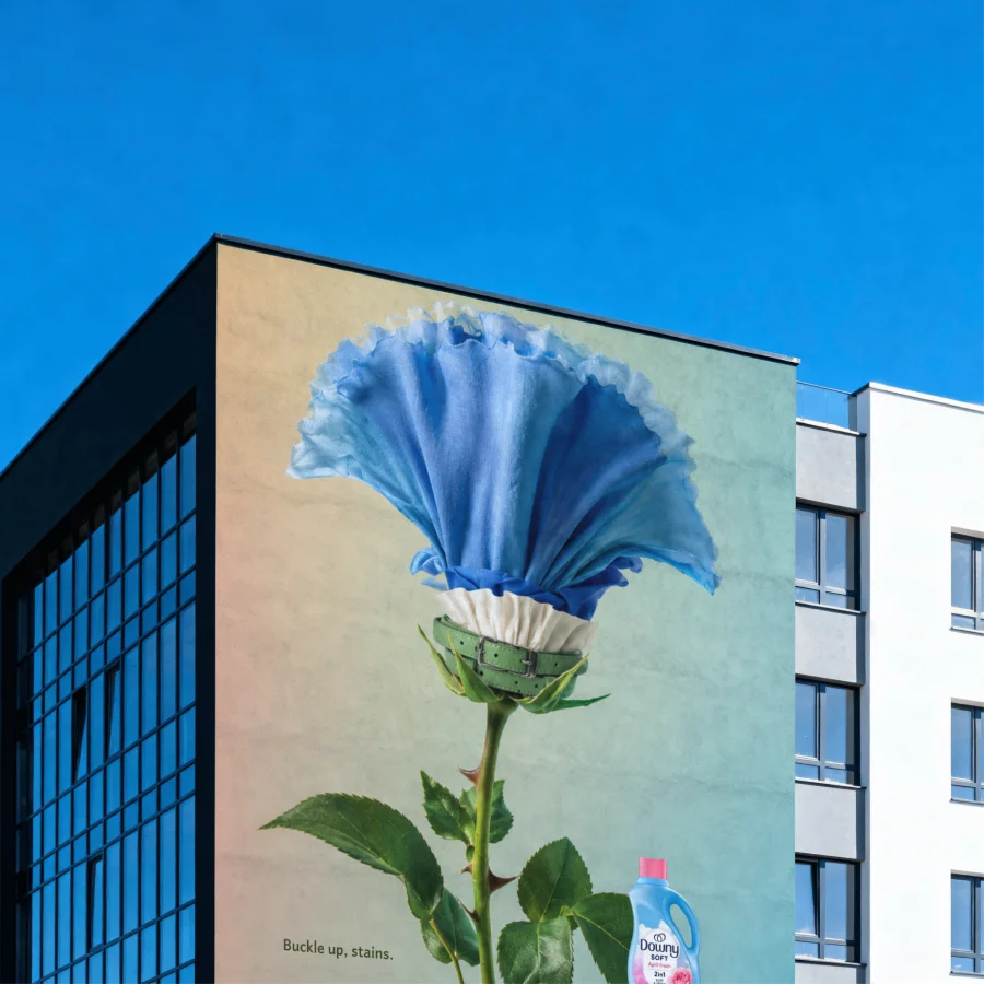 Downy laundry advertising concept by Gina Thomas